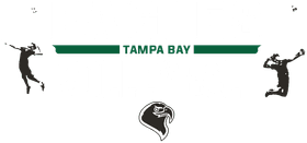 Tampa Bay Eagles banner logo