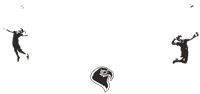 Tampa Bay Eagles banner logo