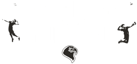 Tampa Bay Eagles banner logo