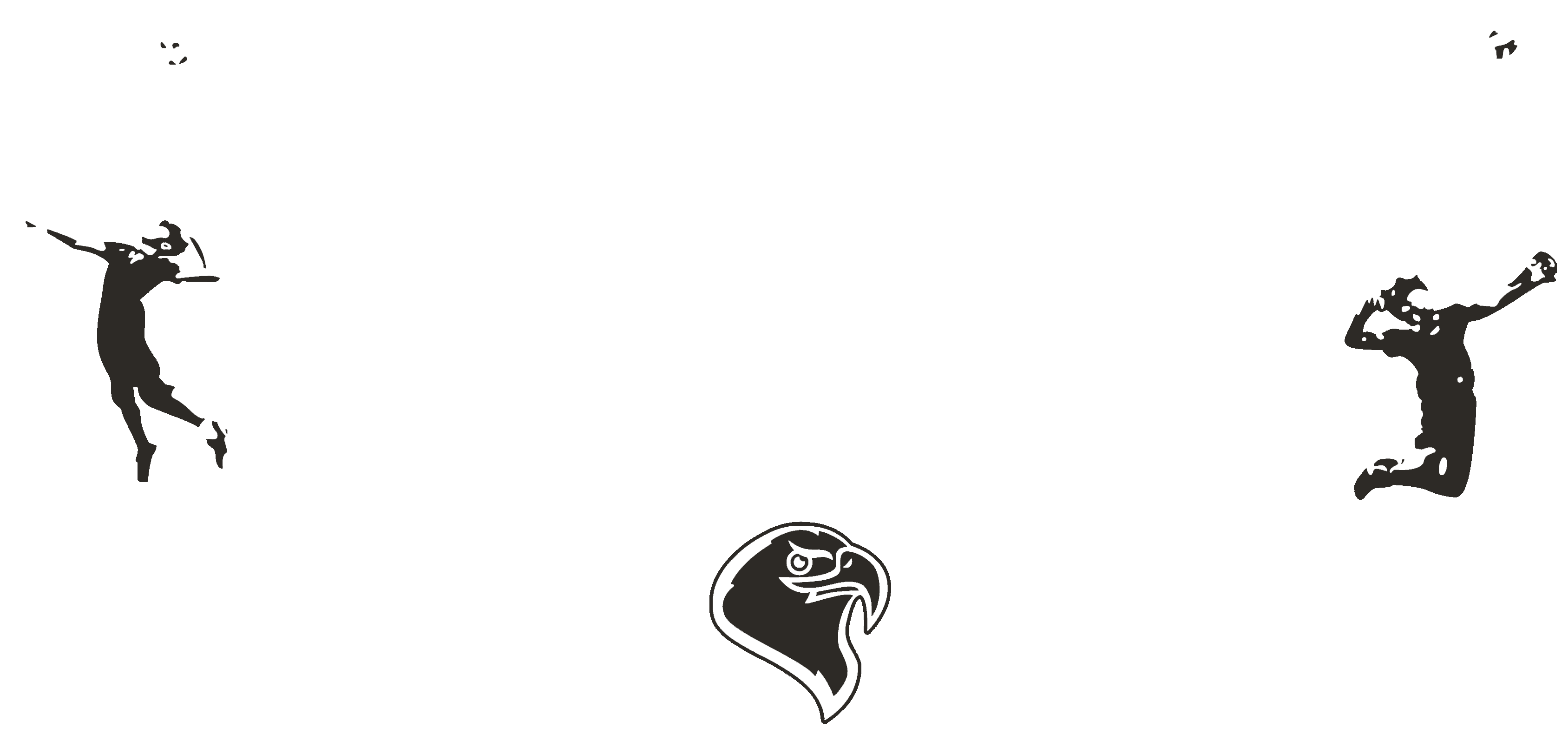 Tampa Bay Eagles